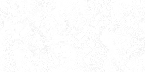 Geographic World Topography map grid abstract. Topo map with elevation. Contour map. Abstract topographic contour map on white background concept.