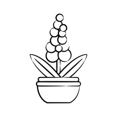 Download our premium doodle icon of hyacinth plant pot