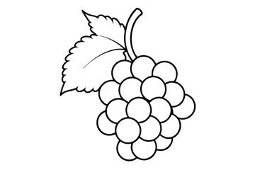 grapes silhouette line art vector illustration with a white background
