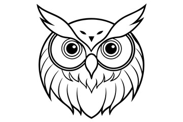 owl on white background