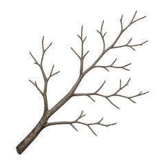 Fototapeta premium Bare Branch