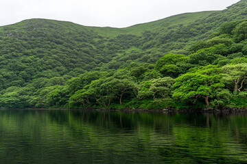 Obraz premium Reflections of lush greenery in tranquil water at a serene lake surrounded by mountains