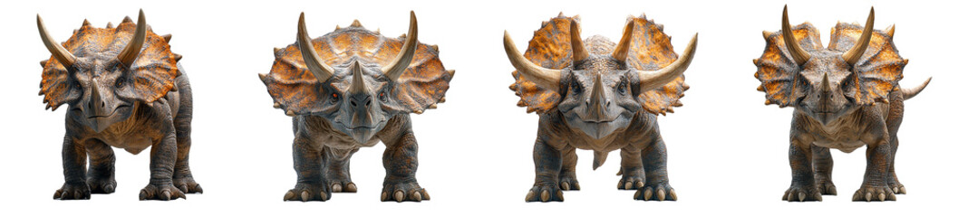 Four Triceratops Dinosaurs Stand on a Transparent Background in Different Poses