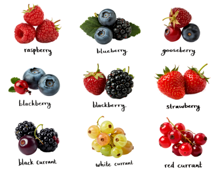 PNG Isolated Berries Pack