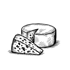 Sketch cheese. Ink sketch isolated on white. Freehand vector illustration. In vintage style.