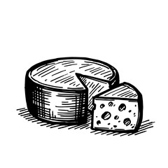 Sketch cheese. Ink sketch isolated on white. Freehand vector illustration. In vintage style.