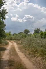 Road on the forest edge under the cloudy sky