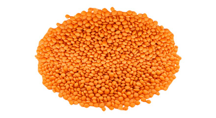 Fresh Red Lentils vegetable Unique PNG image with transparent background Top View