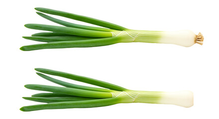 Fresh Scallion Or Green Onions vegetable Unique PNG image with transparent background Top View