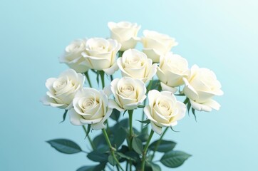 Naklejka premium A bouquet of pristine white roses with green leaves against a light blue background 