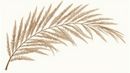 Fototapeta premium wheat ears isolated on white
