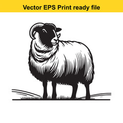 Valais Blacknose Sheep Vector Art | Swiss Alpine Fluffy Sheep | Cute Farm Animal Clipart