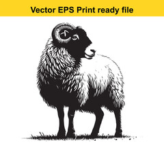 Valais Blacknose Sheep Vector Art | Swiss Alpine Fluffy Sheep | Cute Farm Animal Clipart