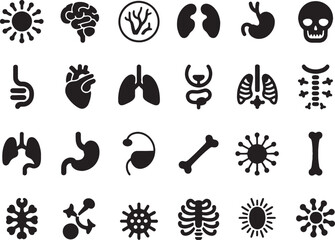 Human organ icons anatomy medical healthcare symbols