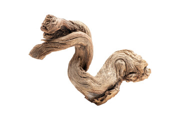 Obraz premium Unique twisted driftwood sculpture