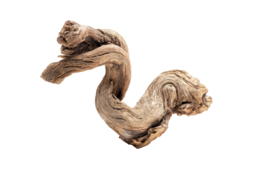 Unique twisted driftwood sculpture