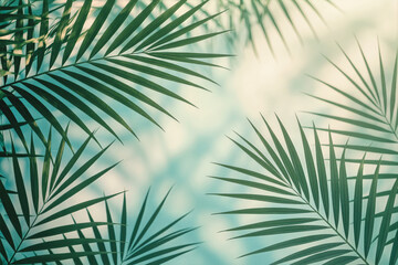 Palm fronds frame a soft blue sky, creating a tropical and serene visual.