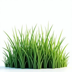 Fototapeta premium Green grass blades against white background or Fake grass close-up on tabletop