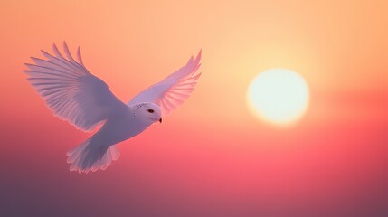 Snowy Owl in Flight at Sunset Pink and Orange Sky