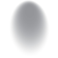 Realistic round and oval shadows decoration