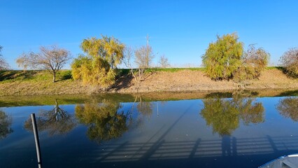 Fototapeta premium Still water reflecting trees and blue sky along a peaceful canal