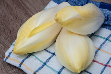 Fresh organic chicory endive salad ready to eat, traditional winter food in Belgium and the Netherlands