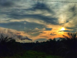 Fototapeta premium palm oil plantations and smoke from palm oil processing factories