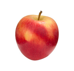 Red Yellow  Apples on  PNG Transparent  Background. Cut out Clipping Path With Adobe Photoshops Pen Tool.