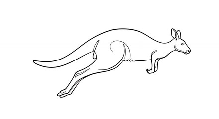 Fototapeta premium Kangaroo line drawing illustration
