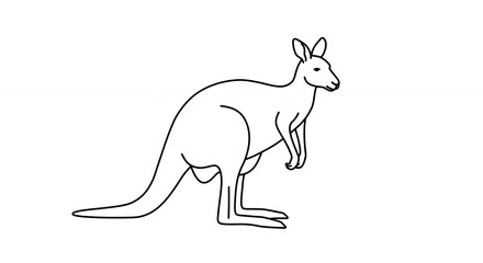 Fototapeta premium Kangaroo line drawing illustration