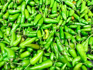 fresh green chili background