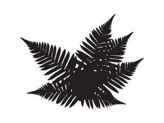 Fern Leaf Silhouette Vector Illustration for Natural Botanical Art and Design