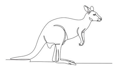 One line drawing kangaroo