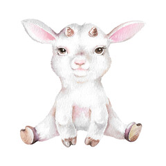 Little fluffy white goat sitting hand drawn watercolor illustration. Childish clipart of domestic animal isolated on white background for farm, village, kid, easter design, for greetings, invitations