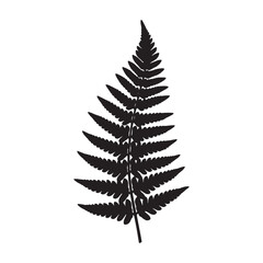 Obraz premium Fern Frond Silhouette Vector Illustration for Wild Nature Artwork