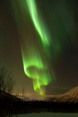 Aurores Boréales © SAVINIEN