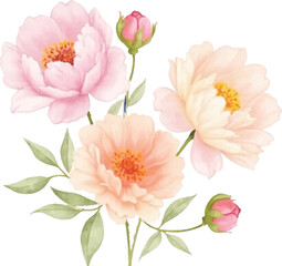 Elegant Watercolor Painting of Delicate Pink and Peach Peonies with Buds and Greenery