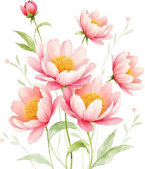 Delicate Watercolor Painting of Pink Peonies and Buds with Green Foliage on White Background