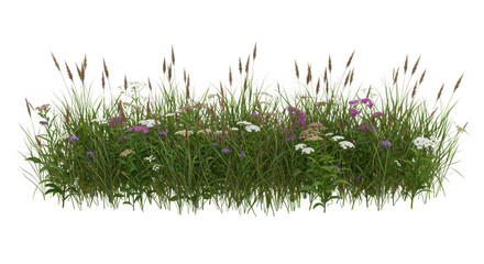 Wild grass and flowers patch isolated on transparent background