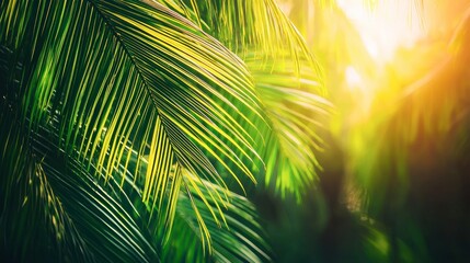 Lush tropical leaves illuminated by golden sunlight.