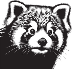 Red Panda Vector Illustration in Black & White – High-Quality Line Art Design