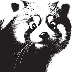 Red Panda Vector Illustration in Black & White – High-Quality Line Art Design