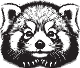 Red Panda Vector Illustration in Black & White – High-Quality Line Art Design