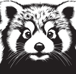 Red Panda Vector Illustration in Black & White – High-Quality Line Art Design