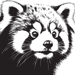 Red Panda Vector Illustration in Black & White – High-Quality Line Art Design
