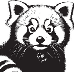 Red Panda Vector Illustration in Black & White – High-Quality Line Art Design