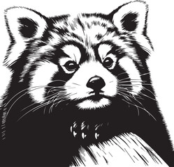Red Panda Vector Illustration in Black & White – High-Quality Line Art Design