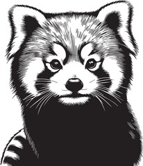 Red Panda Vector Illustration in Black & White – High-Quality Line Art Design