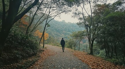Lone wanderer navigating a serene leaf-strewn path through autumn foliage