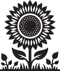Sunflower vector illustration